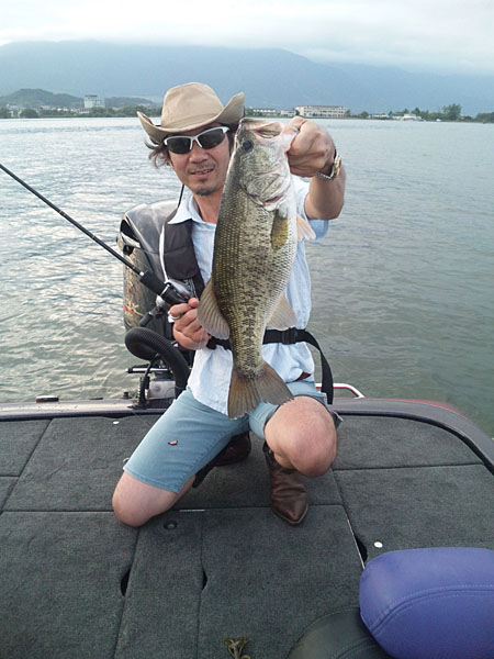 Top WaterBass Fishing Favorite b݂肵̃oXtBbVO