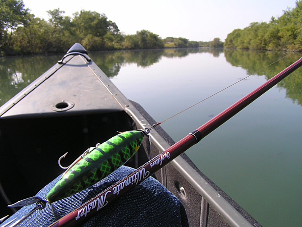 Top WaterBass Fishing Favorite b݂肵̃oXtBbVO