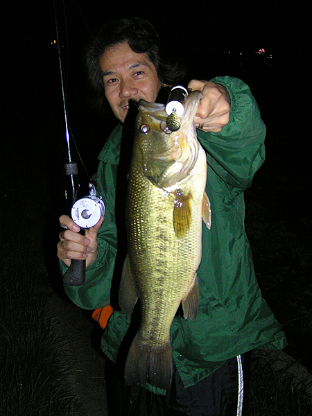 Top WaterBass Fishing Favorite b݂肵̃oXtBbVO