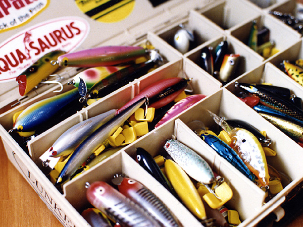 Top WaterBass Fishing Favorite b݂肵̃oXtBbVO