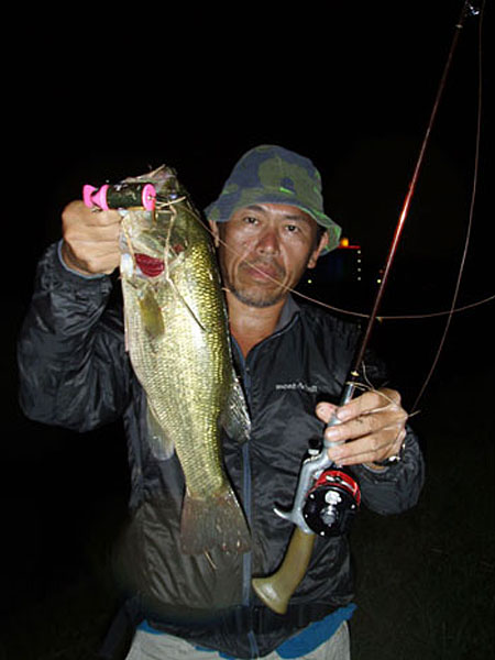 Top WaterBass Fishing Favorite b݂肵̃oXtBbVO