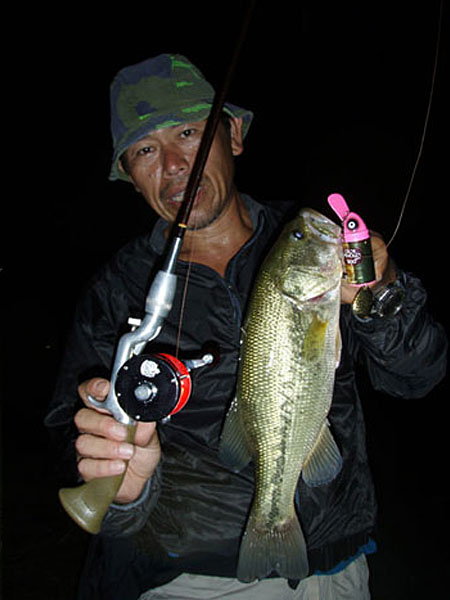 Top WaterBass Fishing Favorite b݂肵̃oXtBbVO