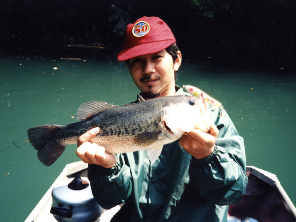 Top WaterBass Fishing Favorite b݂肵̃oXtBbVO