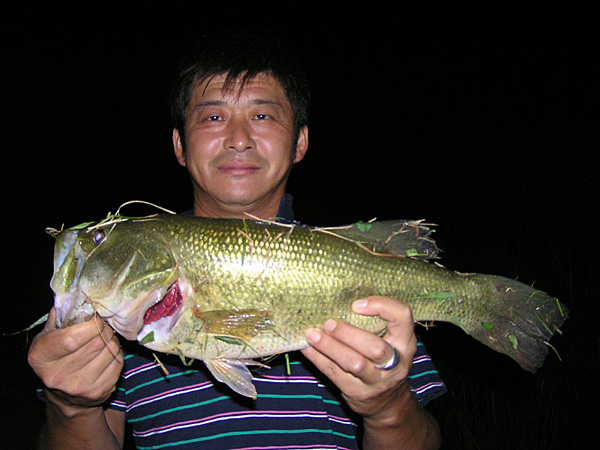 Top WaterBass Fishing Favorite b݂肵̃oXtBbVO