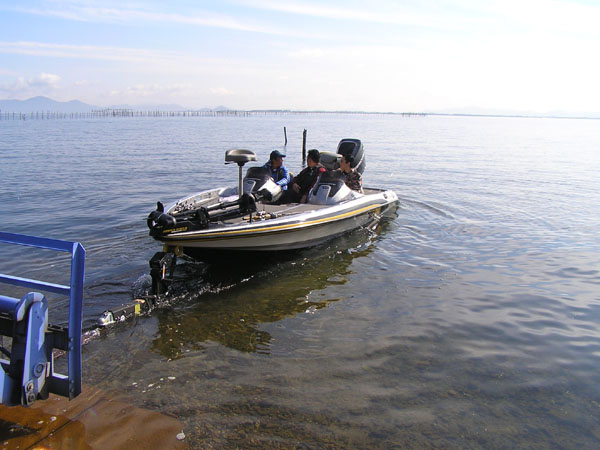 Top WaterBass Fishing Favorite b݂肵̃oXtBbVO