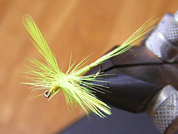 tCtBbVO@hCtC@`[g[XXsi[