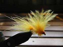 tCtBbVO@EGbgtC@}u[IW