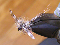 tCtBbVO@hCtC@XL[gXsi[