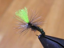 tCtBbVO@hCtC@s[RbNpV[gs[p