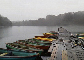 tBbVOX|bgЂ傤@Ђ傤ΒލsL@2012N1230