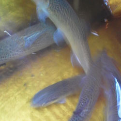 tBbVOX|bgЂ傤@Ђ傤ΒލsL@2013N323-C{[