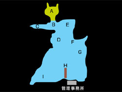 Ђ傤΁@|Cg}bv@obNEH[^[