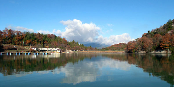 Ђ傤΁@tBVOGA@|CgC[W