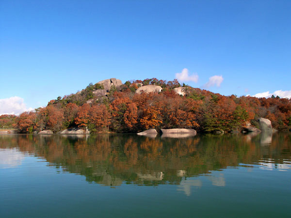 tBbVOX|bg@Ђ傤 bЂ傤΂̎lG