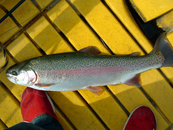 tBbVOX|bg@Ђ傤 bЂ傤΂̎lG