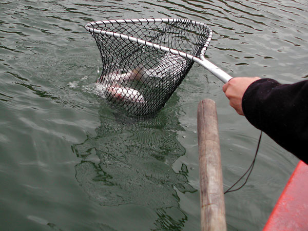 tBbVOX|bg@Ђ傤 bЂ傤΂̎lG