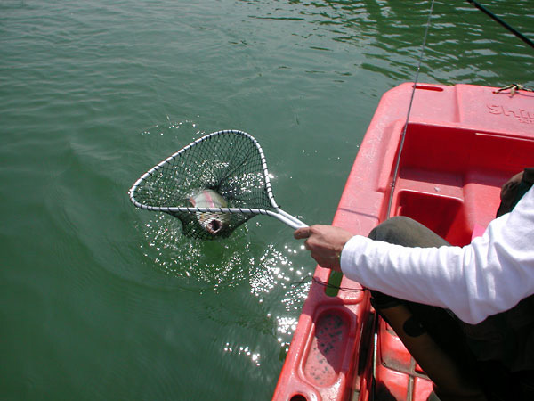 tBbVOX|bg@Ђ傤 bЂ傤΂̎lG