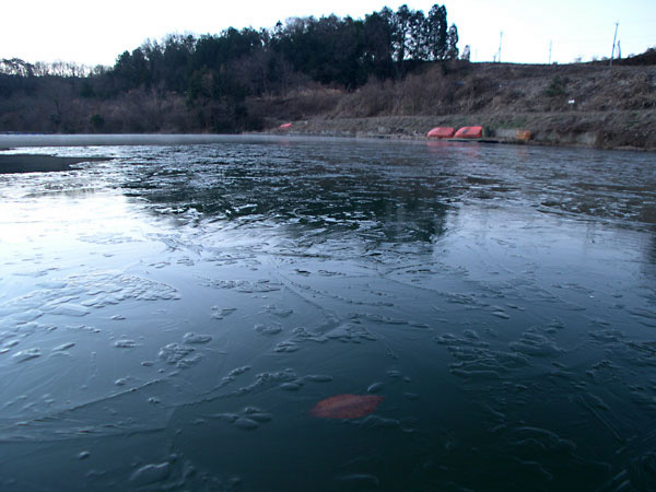 tBbVOX|bg@Ђ傤 bЂ傤΂̎lG