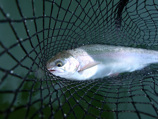 tBbVOX|bg@Ђ傤 bЂ傤΂̎lG