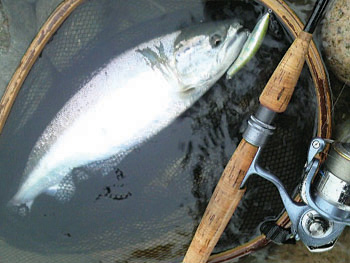 iK}X@ǐ@TcL}X@uEj[ǃ}X@A[@ȂƂ炤