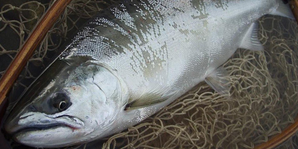 ǐ@TcL}X@iK}X@ǃ}X@2011N@މʁ@C[W