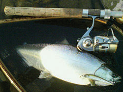 ǐ@TcL}X@ǃ}Xǃ}X@A[@ȂƂ炤