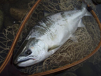 iK}X@ǐ@TcL}X@ǃ}X@A[@ȂƂ炤