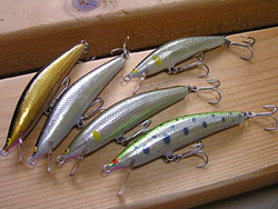 ǐ@TcL}XNuEiK}Xiǃ}XjuEj[@g