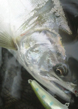 ǐ@TcL}X@iK}X@ǃ}X@ʐ^