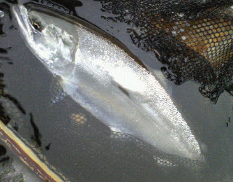 -ǐ@TcL}X@iK}X@ǃ}X@ʐ^