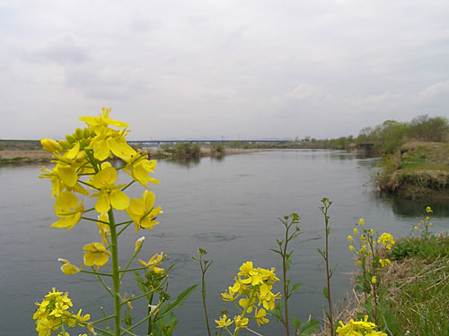 ǐiȂ炪AiKKjb ϑ勴