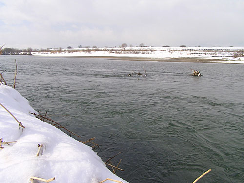 ǐiȂ炪AiKKjb ϑ勴