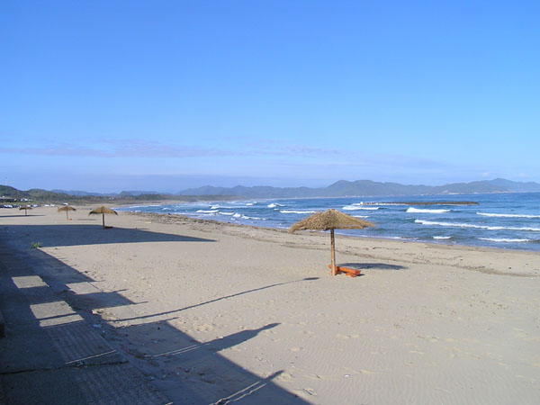 Penn Spinfisher Custom@y@XstBbV[@JX^@݂肵̃y