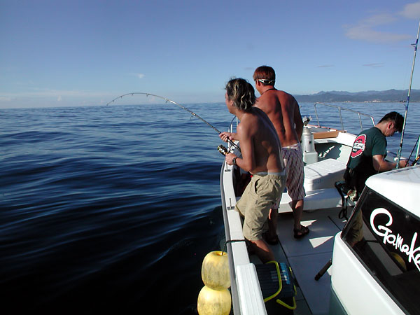 Penn Spinfisher Custom@y@XstBbV[@JX^@݂肵̃y