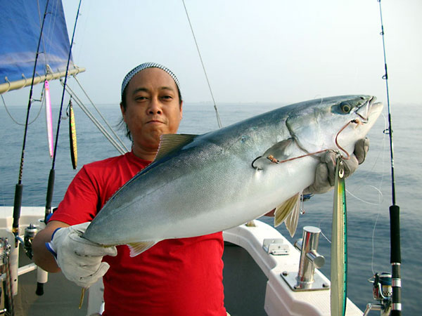 Penn Spinfisher Custom@y@XstBbV[@JX^@݂肵̃y