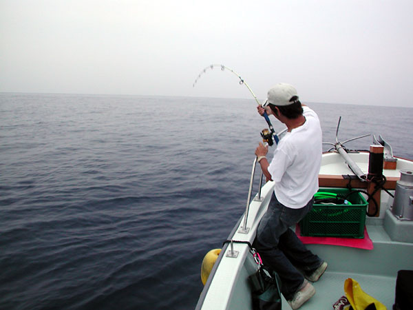 Penn Spinfisher Custom@y@XstBbV[@JX^@݂肵̃y