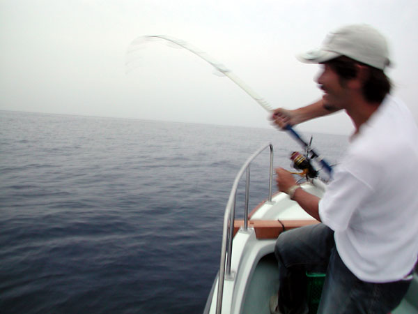 Penn Spinfisher Custom@y@XstBbV[@JX^@݂肵̃y