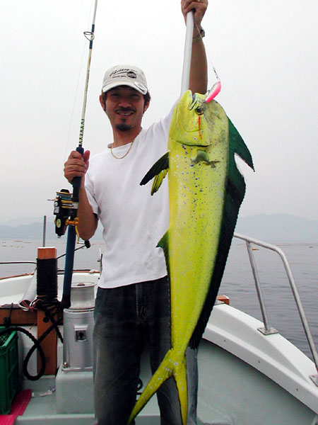 Penn Spinfisher Custom@y@XstBbV[@JX^@݂肵̃y