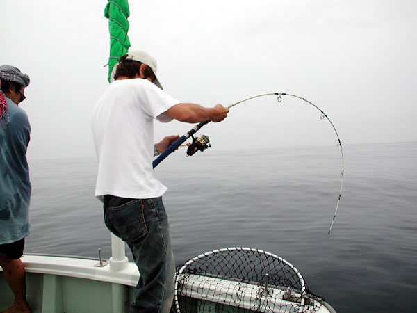 Penn Spinfisher Custom@y@XstBbV[@JX^@݂肵̃y