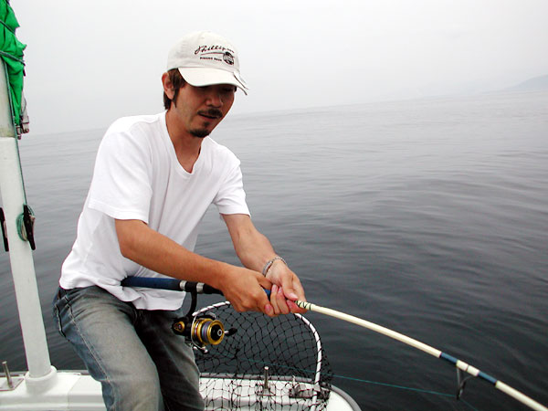 Penn Spinfisher Custom@y@XstBbV[@JX^@݂肵̃y