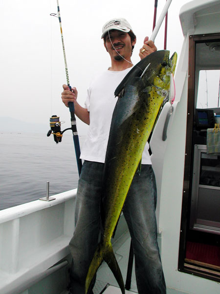 Penn Spinfisher Custom@y@XstBbV[@JX^@݂肵̃y