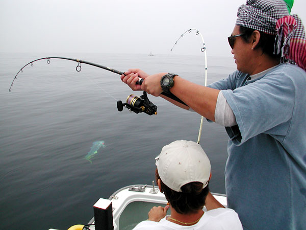 Penn Spinfisher Custom@y@XstBbV[@JX^@݂肵̃y