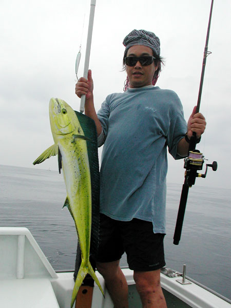 Penn Spinfisher Custom@y@XstBbV[@JX^@݂肵̃y