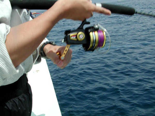 Penn Spinfisher Custom@y@XstBbV[@JX^@݂肵̃y