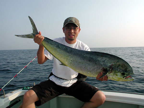 Penn Spinfisher Custom@y@XstBbV[@JX^@݂肵̃y