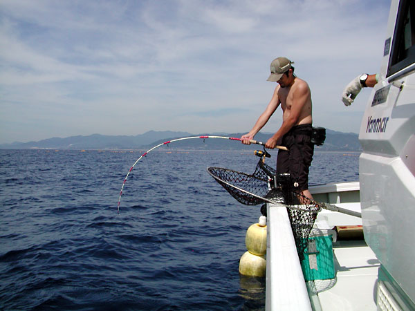 Penn Spinfisher Custom@y@XstBbV[@JX^@݂肵̃y