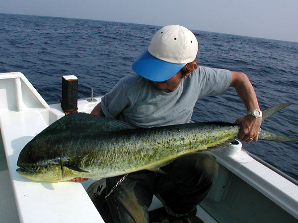 Penn Spinfisher Custom@y@XstBbV[@JX^@݂肵̃y