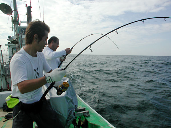 Penn Spinfisher Custom@y@XstBbV[@JX^@݂肵̃y