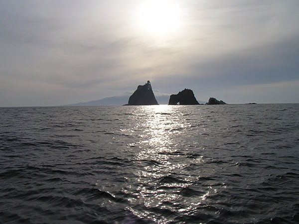 Penn Spinfisher Custom@y@XstBbV[@JX^@݂肵̃y