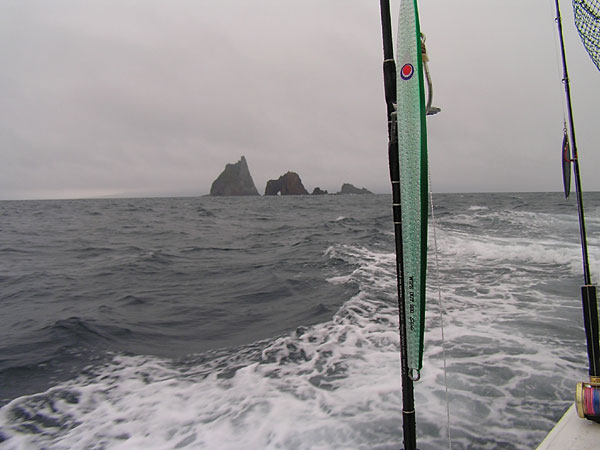 Penn Spinfisher Custom@y@XstBbV[@JX^@݂肵̃y